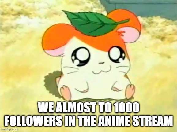 Anime stream almost has 1000 followers | WE ALMOST TO 1000 FOLLOWERS IN THE ANIME STREAM | image tagged in memes,hamtaro | made w/ Imgflip meme maker