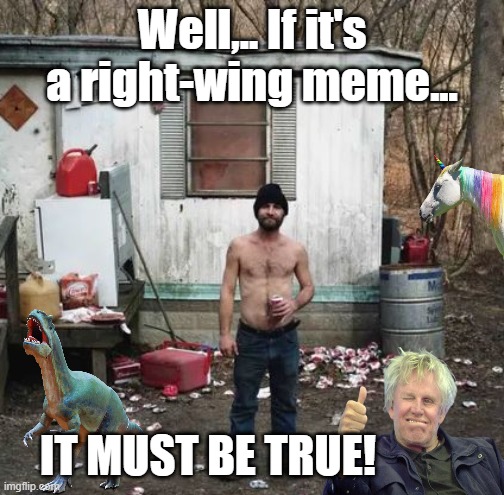 Republican Memes | Well,.. If it's a right-wing meme... IT MUST BE TRUE! | image tagged in republican,right-wing,qanon,fake news,trump | made w/ Imgflip meme maker