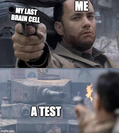 tests | ME; MY LAST BRAIN CELL; A TEST | image tagged in saving private ryan | made w/ Imgflip meme maker