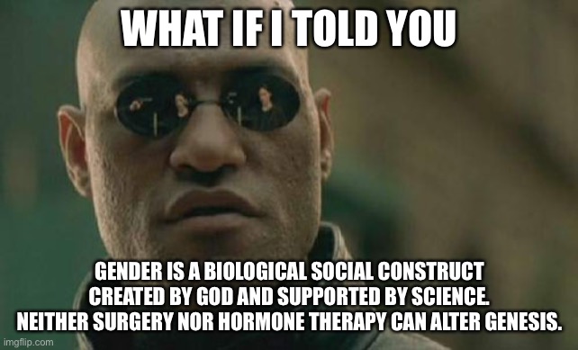 God is who we should go to for gender studies | WHAT IF I TOLD YOU; GENDER IS A BIOLOGICAL SOCIAL CONSTRUCT CREATED BY GOD AND SUPPORTED BY SCIENCE. NEITHER SURGERY NOR HORMONE THERAPY CAN ALTER GENESIS. | image tagged in memes,matrix morpheus,god,gender,science,men and women | made w/ Imgflip meme maker