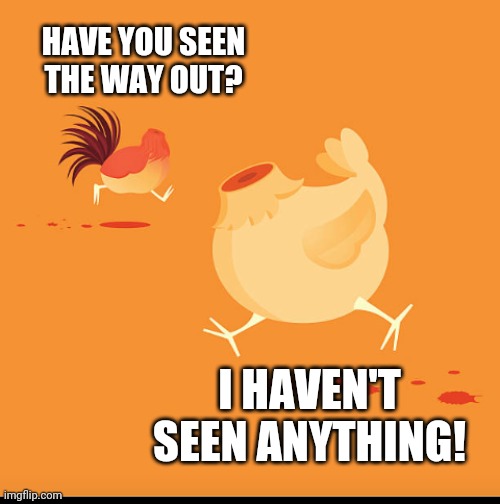 HAVE YOU SEEN THE WAY OUT? I HAVEN'T SEEN ANYTHING! | image tagged in don't lose your head | made w/ Imgflip meme maker