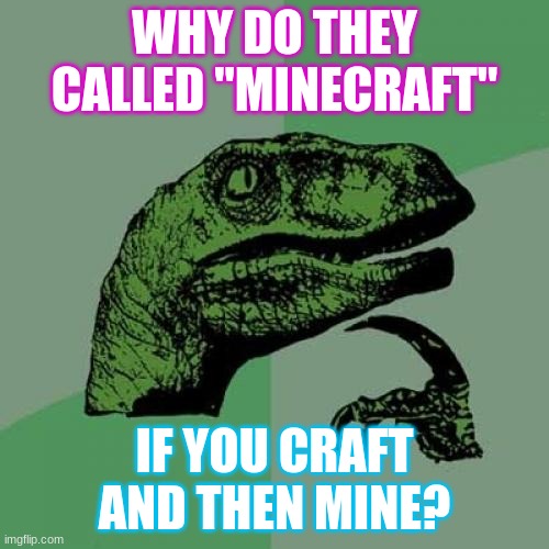 Like seriously why? |  WHY DO THEY CALLED "MINECRAFT"; IF YOU CRAFT AND THEN MINE? | image tagged in memes,philosoraptor | made w/ Imgflip meme maker
