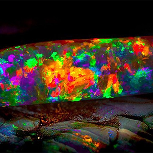 The Virgin Rainbow. A 72 carat Black Crystal Opal | image tagged in awesome,pics,photography | made w/ Imgflip meme maker