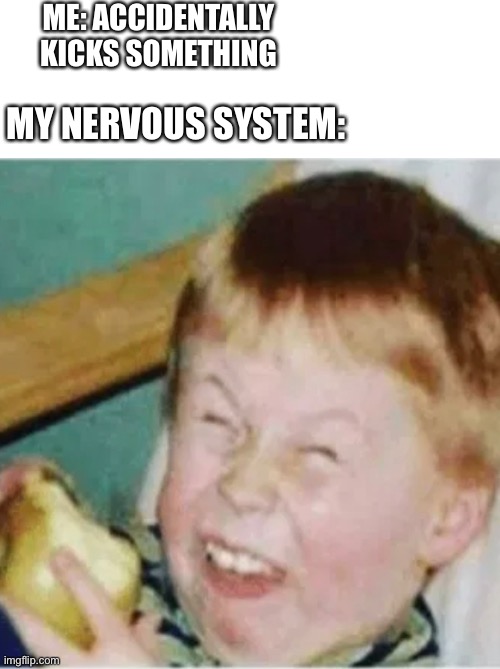 ME: ACCIDENTALLY KICKS SOMETHING; MY NERVOUS SYSTEM: | image tagged in memes | made w/ Imgflip meme maker