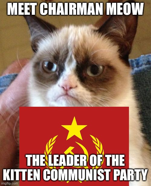 LOL | MEET CHAIRMAN MEOW; THE LEADER OF THE KITTEN COMMUNIST PARTY | image tagged in memes,grumpy cat,funny,communism,politics,mao zedong | made w/ Imgflip meme maker
