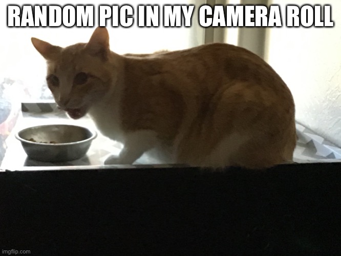 RANDOM PIC IN MY CAMERA ROLL | made w/ Imgflip meme maker