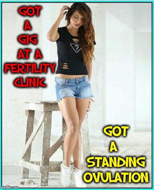 My Fantasy Girlfriend is So Funny... | GOT A 
GIG 
AT A FERTILITY CLINIC; GOT A 
STANDING
OVULATION | image tagged in vince vance,girlfriend,fertility,clinic,standing ovation,memes | made w/ Imgflip meme maker