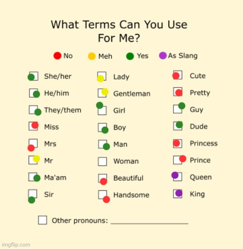 . | image tagged in pronouns sheet | made w/ Imgflip meme maker