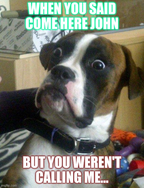 Blankie the Shocked Dog | WHEN YOU SAID COME HERE JOHN; BUT YOU WEREN'T CALLING ME... | image tagged in blankie the shocked dog | made w/ Imgflip meme maker