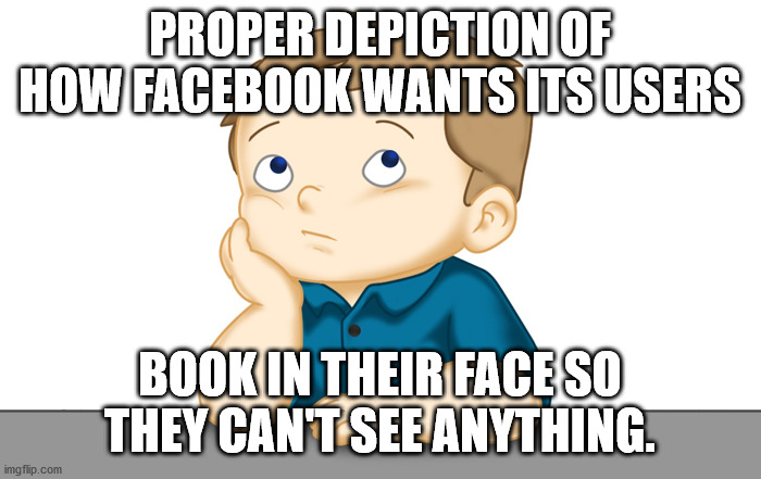Thinking boy | PROPER DEPICTION OF HOW FACEBOOK WANTS ITS USERS BOOK IN THEIR FACE SO THEY CAN'T SEE ANYTHING. | image tagged in thinking boy | made w/ Imgflip meme maker