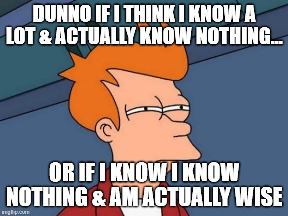 (shrugs shoulders) | DUNNO IF I THINK I KNOW A LOT & ACTUALLY KNOW NOTHING... OR IF I KNOW I KNOW NOTHING & AM ACTUALLY WISE | image tagged in memes,futurama fry,you know nothing,wisdom,funny,i don't know | made w/ Imgflip meme maker