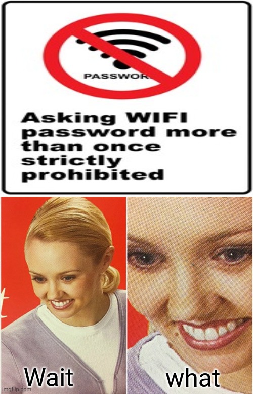 No wifi password sign | Wait; what | image tagged in wait what,hold up,funny,wifi,memes,signs | made w/ Imgflip meme maker