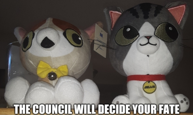 High Quality The council will decide your fate. Jellie and Spleens plushs. Blank Meme Template