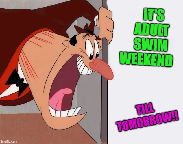 adult swim weekend a dannyhogan200 event | IT'S ADULT SWIM WEEKEND; TILL TOMORROW!! | image tagged in yelling guy | made w/ Imgflip meme maker