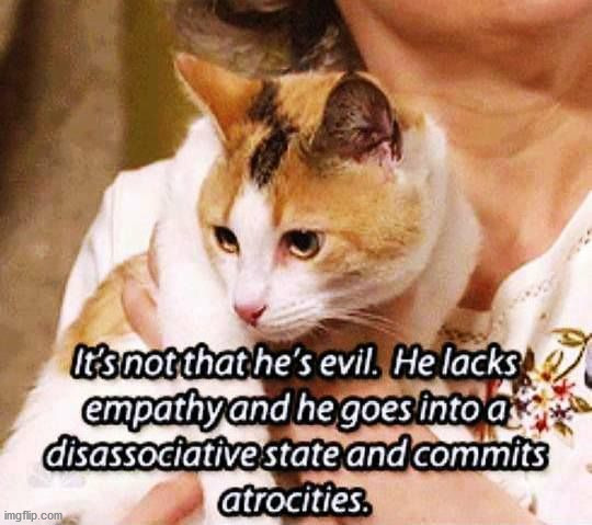 image tagged in it's not that he's evil | made w/ Imgflip meme maker