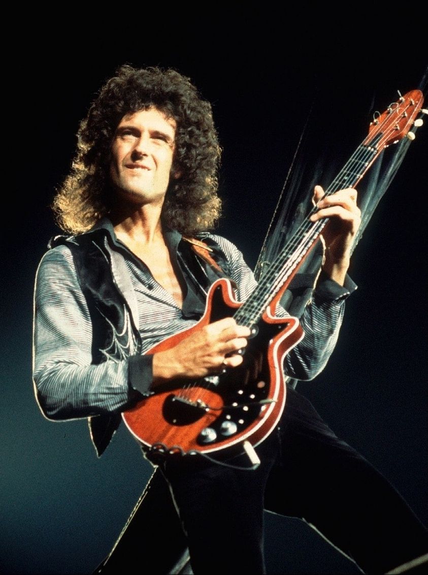 Brian May Blank Meme Template