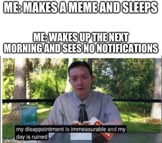 idk |  ME: MAKES A MEME AND SLEEPS; ME: WAKES UP THE NEXT MORNING AND SEES NO NOTIFICATIONS | image tagged in my dissapointment is immeasurable and my day is ruined,memes,imgflip | made w/ Imgflip meme maker