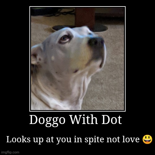 Doggo With Dot | image tagged in funny,demotivationals,doggo | made w/ Imgflip demotivational maker