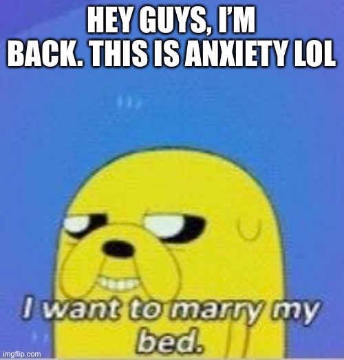 I want to marry my bed | HEY GUYS, I’M BACK. THIS IS ANXIETY LOL | image tagged in i want to marry my bed | made w/ Imgflip meme maker