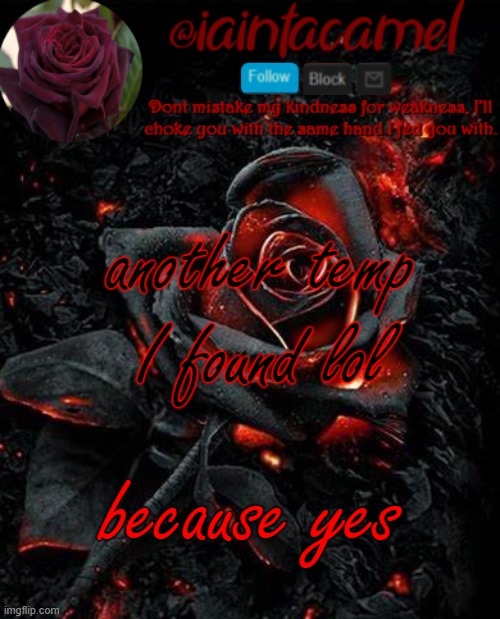 iaintacamel | another temp I found lol; because yes | image tagged in iaintacamel | made w/ Imgflip meme maker