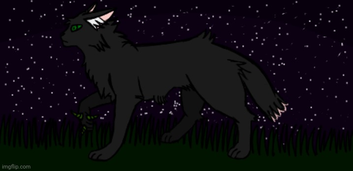 Alright this one isn't as crappy. (Jadepaw, species unknown) | made w/ Imgflip meme maker