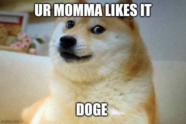 UR MOMMA LIKES IT; DOGE | made w/ Imgflip meme maker