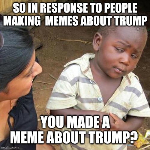 Third World Skeptical Kid Meme | SO IN RESPONSE TO PEOPLE MAKING  MEMES ABOUT TRUMP YOU MADE A MEME ABOUT TRUMP? | image tagged in memes,third world skeptical kid | made w/ Imgflip meme maker
