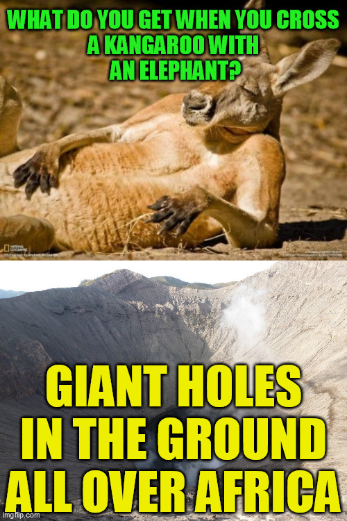 Just remembered this favorite |  WHAT DO YOU GET WHEN YOU CROSS 
A KANGAROO WITH 
AN ELEPHANT? GIANT HOLES IN THE GROUND ALL OVER AFRICA | image tagged in chillin kangaroo,smoking crater | made w/ Imgflip meme maker