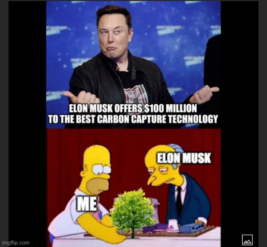 r/stolethisfromYouTube | image tagged in meme,funny meme,funny,elon musk,homer simpson,tree | made w/ Imgflip meme maker