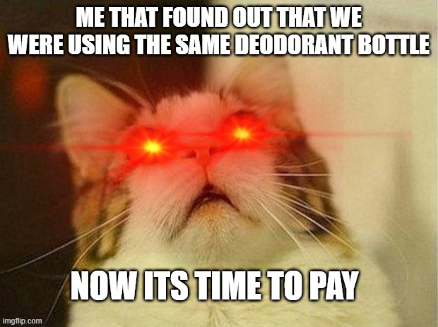 NOW ITS TIME TO PAY | image tagged in cat | made w/ Imgflip meme maker