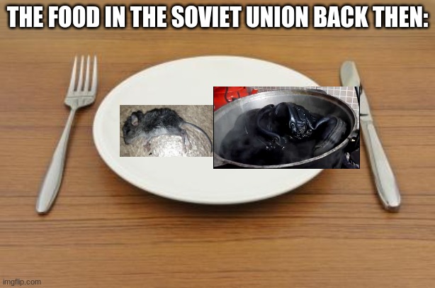 marxism dinner | THE FOOD IN THE SOVIET UNION BACK THEN: | image tagged in marxism dinner | made w/ Imgflip meme maker