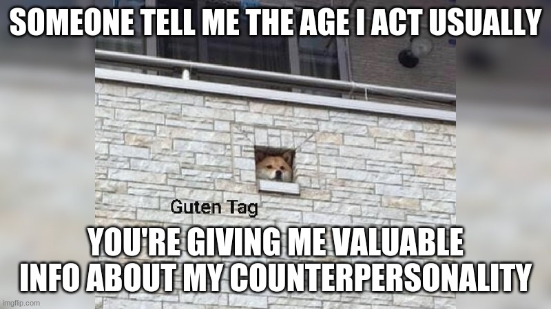 thats a word right | SOMEONE TELL ME THE AGE I ACT USUALLY; YOU'RE GIVING ME VALUABLE INFO ABOUT MY COUNTERPERSONALITY | image tagged in guten tag | made w/ Imgflip meme maker