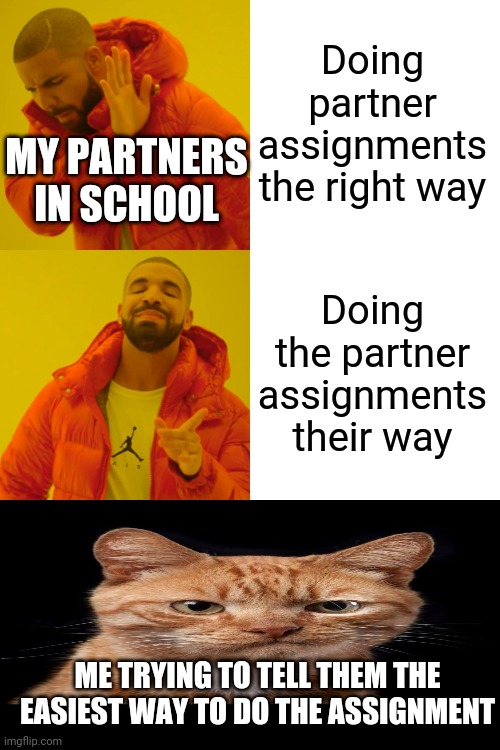 repost if you can relate | Doing partner assignments the right way; MY PARTNERS IN SCHOOL; Doing the partner assignments their way; ME TRYING TO TELL THEM THE EASIEST WAY TO DO THE ASSIGNMENT | image tagged in memes,drake hotline bling | made w/ Imgflip meme maker