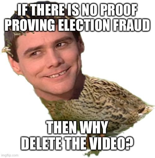 I wonder if this meme will see the light of day | IF THERE IS NO PROOF PROVING ELECTION FRAUD THEN WHY DELETE THE VIDEO? | image tagged in imjay,tag trigger words mike lindell election fraud | made w/ Imgflip meme maker