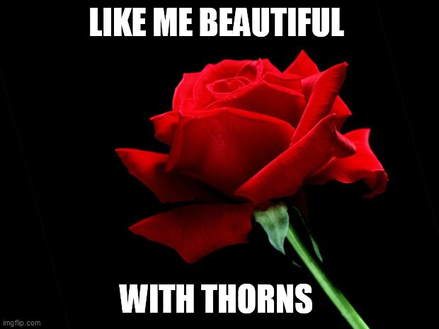 rose | LIKE ME BEAUTIFUL; WITH THORNS | image tagged in rose | made w/ Imgflip meme maker