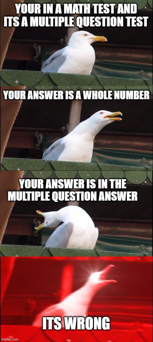 multiple question  test | YOUR IN A MATH TEST AND ITS A MULTIPLE QUESTION TEST; YOUR ANSWER IS A WHOLE NUMBER; YOUR ANSWER IS IN THE MULTIPLE QUESTION ANSWER; ITS WRONG | image tagged in memes,inhaling seagull | made w/ Imgflip meme maker