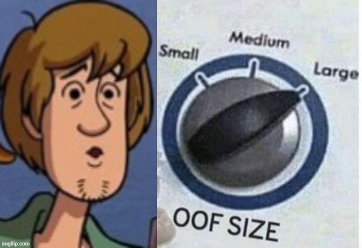 Shaggy Sized Oof | image tagged in oof size large,memes,scooby doo shaggy | made w/ Imgflip meme maker