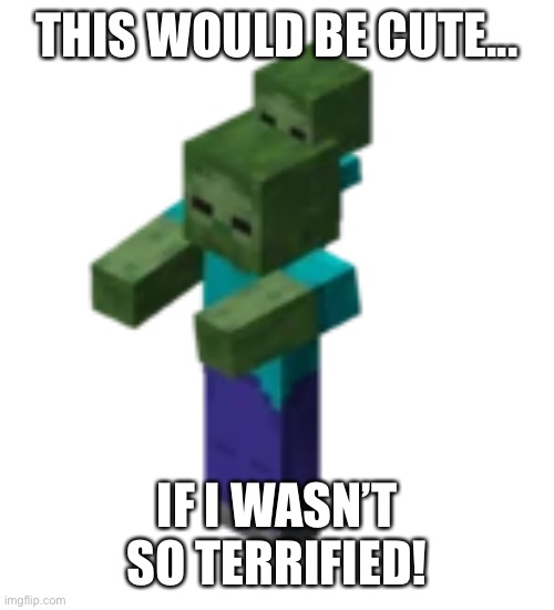 Lol don’t check the title check the tags | THIS WOULD BE CUTE... IF I WASN’T SO TERRIFIED! | image tagged in minecraft,zombies,suck | made w/ Imgflip meme maker