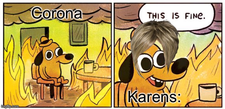 This Is Fine | Corona; Karens: | image tagged in memes,this is fine | made w/ Imgflip meme maker