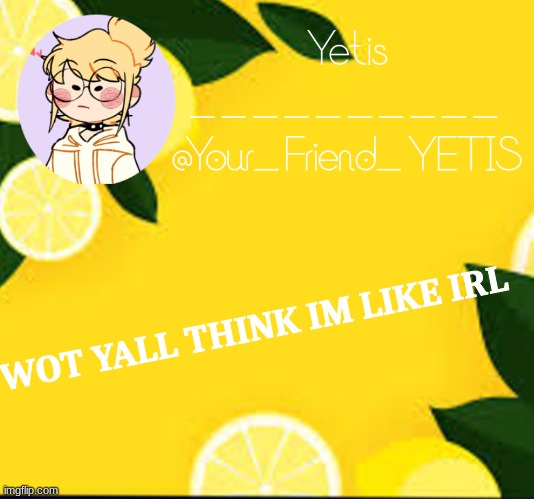 ya | WOT YALL THINK IM LIKE IRL | image tagged in yetis and lemons | made w/ Imgflip meme maker