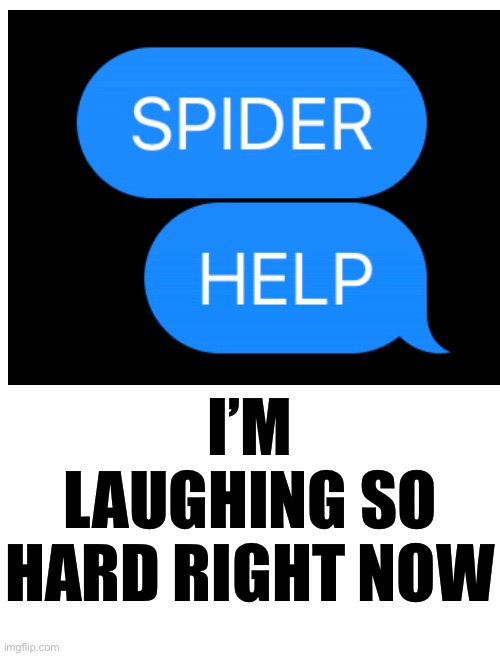 XD | I’M LAUGHING SO HARD RIGHT NOW | image tagged in spider,help | made w/ Imgflip meme maker