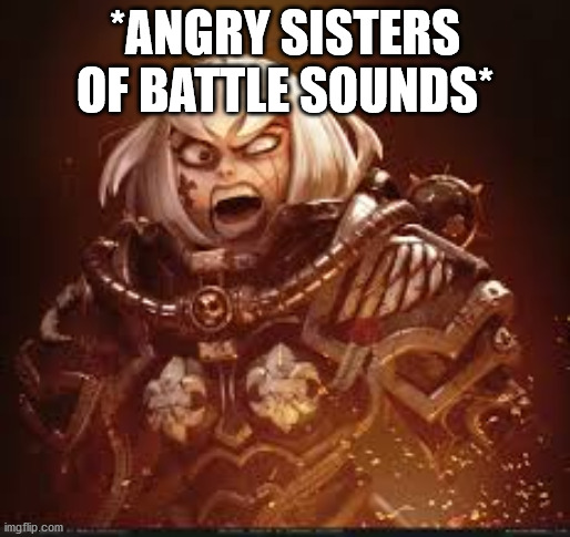 sister of battle angry | *ANGRY SISTERS OF BATTLE SOUNDS* | image tagged in sister of battle angry | made w/ Imgflip meme maker