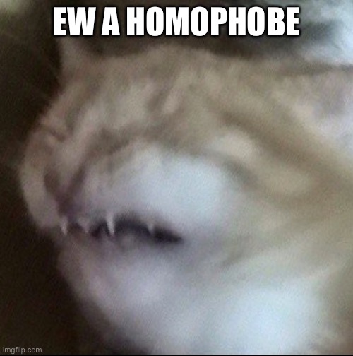 EW A HOMOPHOBE | made w/ Imgflip meme maker