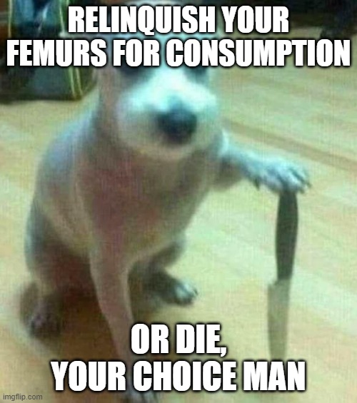 Give 'em up | RELINQUISH YOUR FEMURS FOR CONSUMPTION; OR DIE, YOUR CHOICE MAN | image tagged in dog with knife | made w/ Imgflip meme maker