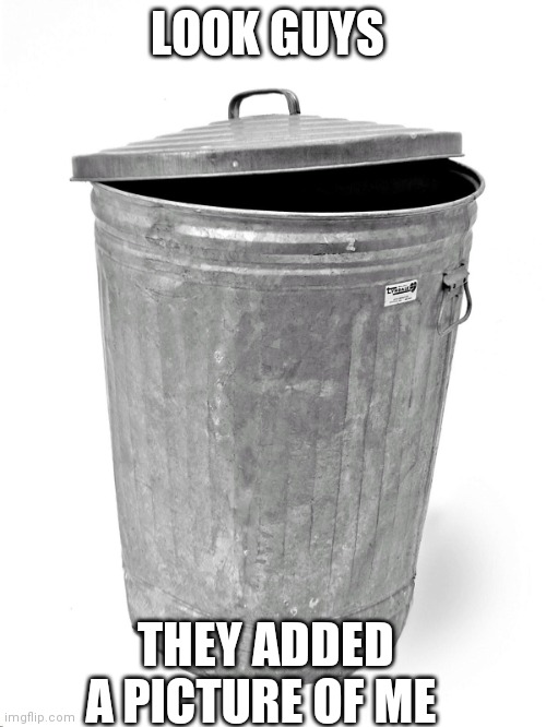 LOOK GUYS ITS ME | LOOK GUYS; THEY ADDED A PICTURE OF ME | image tagged in trash can | made w/ Imgflip meme maker