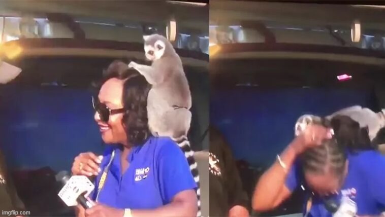 i should not be laughing at this but like bruh XD | made w/ Imgflip meme maker