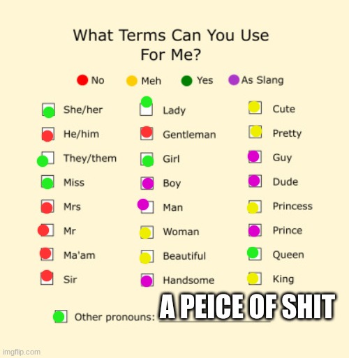 Pronouns Sheet | A PEICE OF SHIT | image tagged in pronouns sheet | made w/ Imgflip meme maker