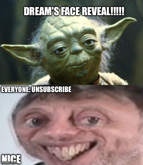 BREAKING NEWS: DREAM'S FACE REVEAL | DREAM'S FACE REVEAL!!!!! EVERYONE: UNSUBSCRIBE | image tagged in dream,minecraft,memes,funny memes,dream's face reveal,face reveal | made w/ Imgflip meme maker