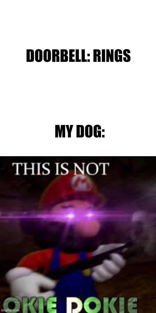 DOORBELL: RINGS; MY DOG: | image tagged in memes,blank transparent square,this is not okie dokie,dog | made w/ Imgflip meme maker