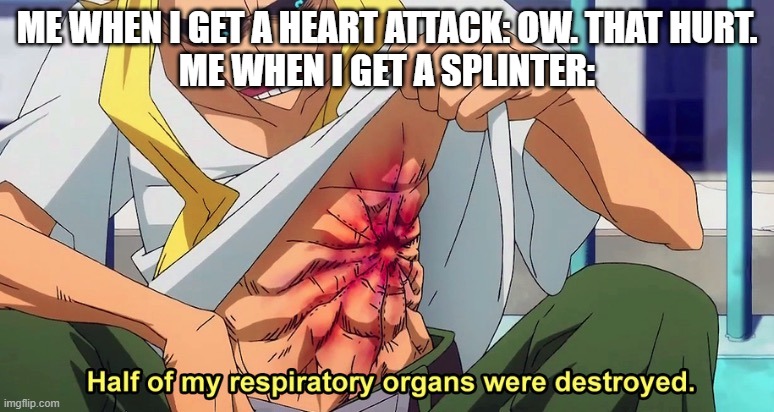 hurt (again) |  ME WHEN I GET A HEART ATTACK: OW. THAT HURT.
ME WHEN I GET A SPLINTER: | image tagged in half of my respiratory organs were destroyed,memes | made w/ Imgflip meme maker